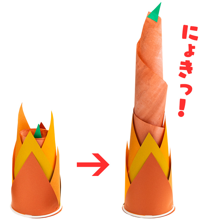 伸び縮みタケノコ